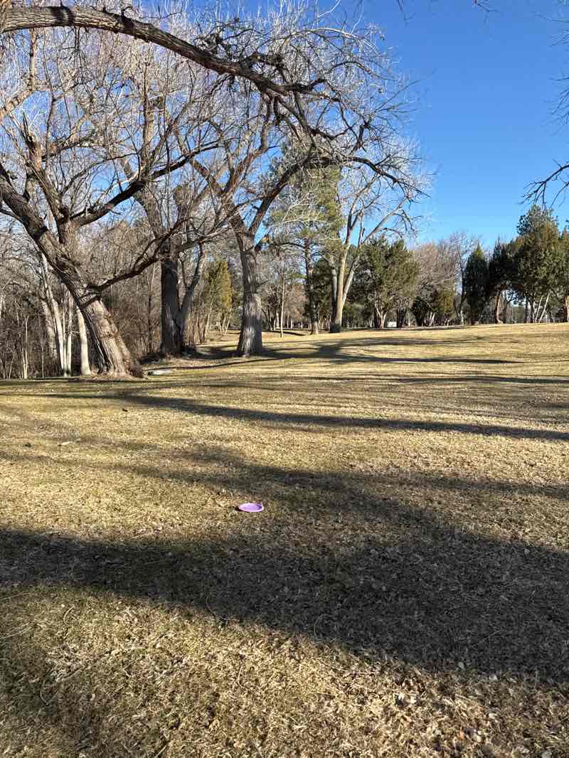walking near me in City Park in winter