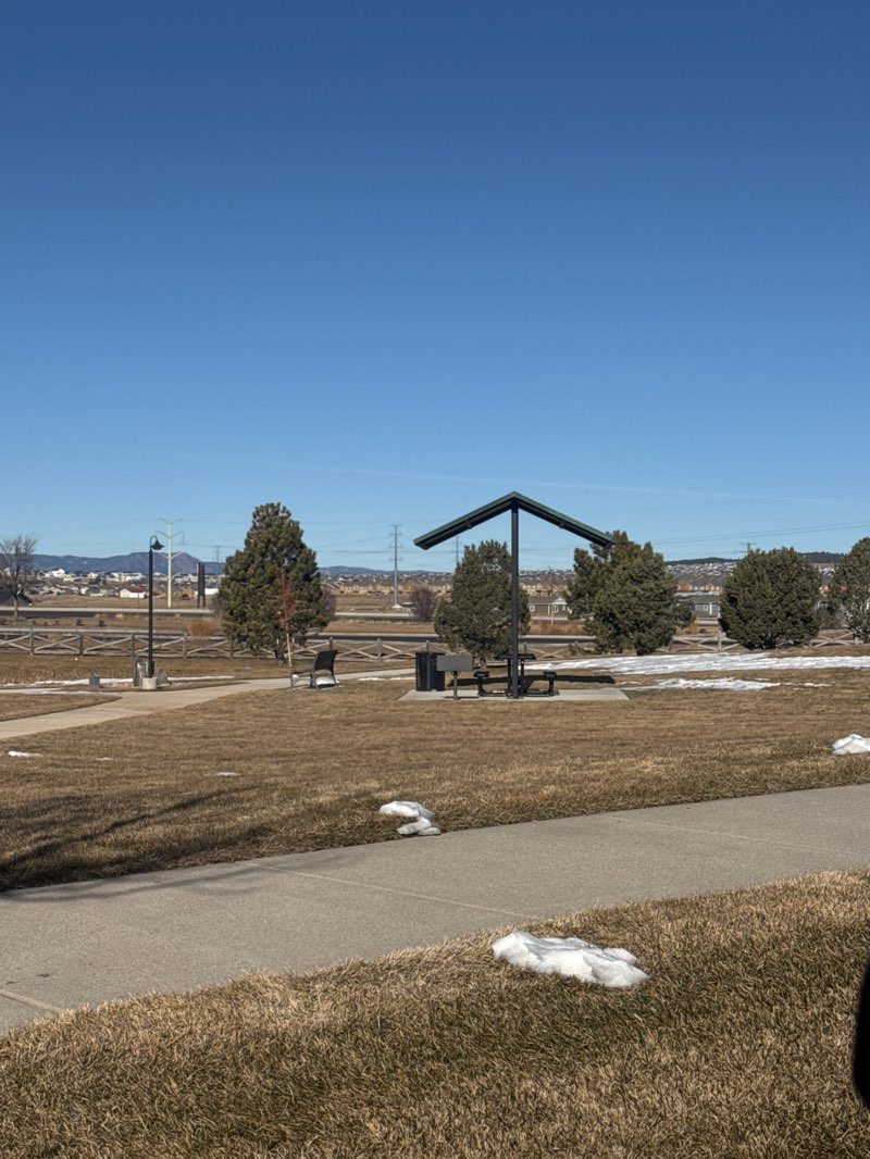 walking near me in Pioneer Park in winter