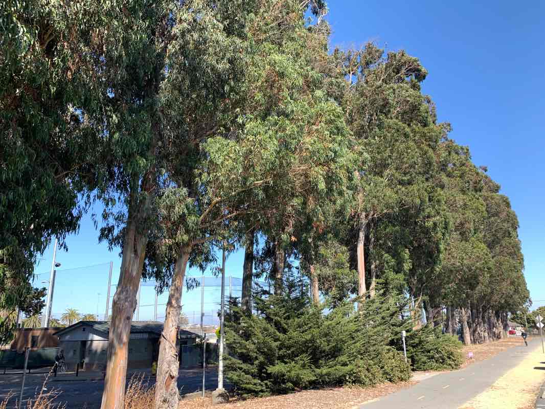 walking near me in Orange Memorial Park in winter