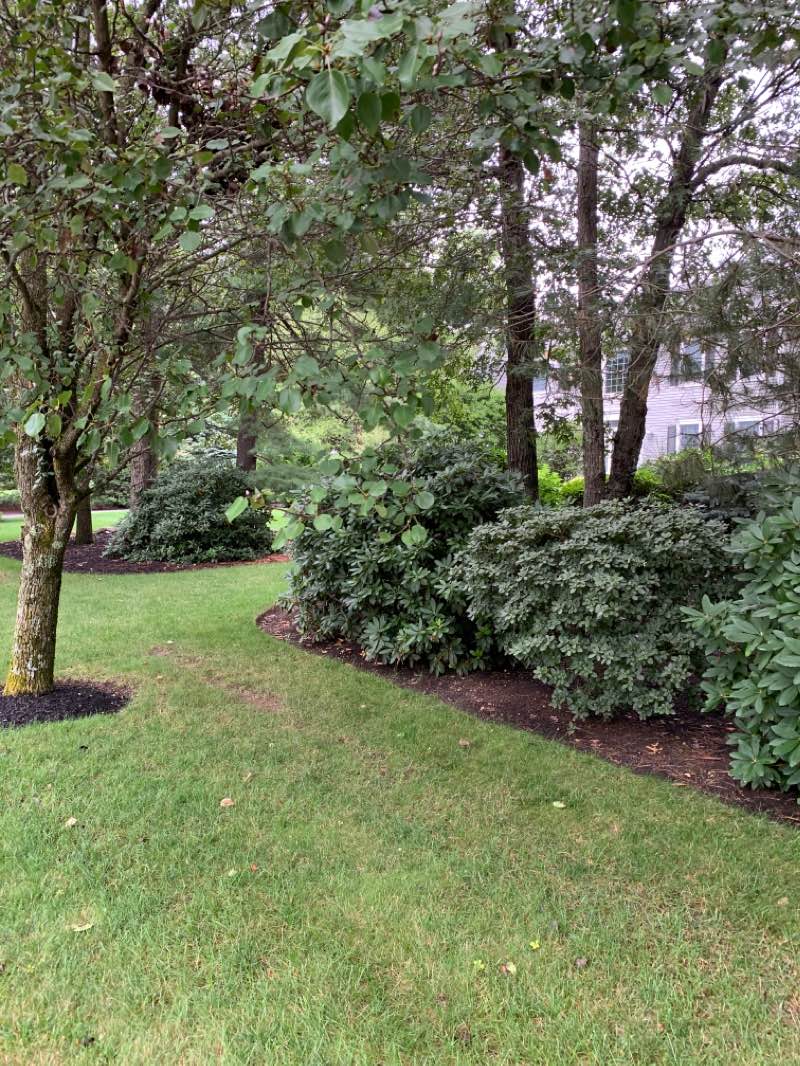 walking near me in Quail Ridge Conservation Area in winter