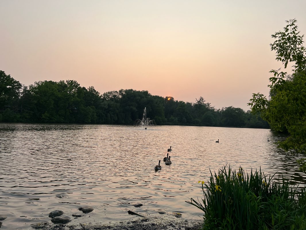 walking near me in Bradstock Park in winter