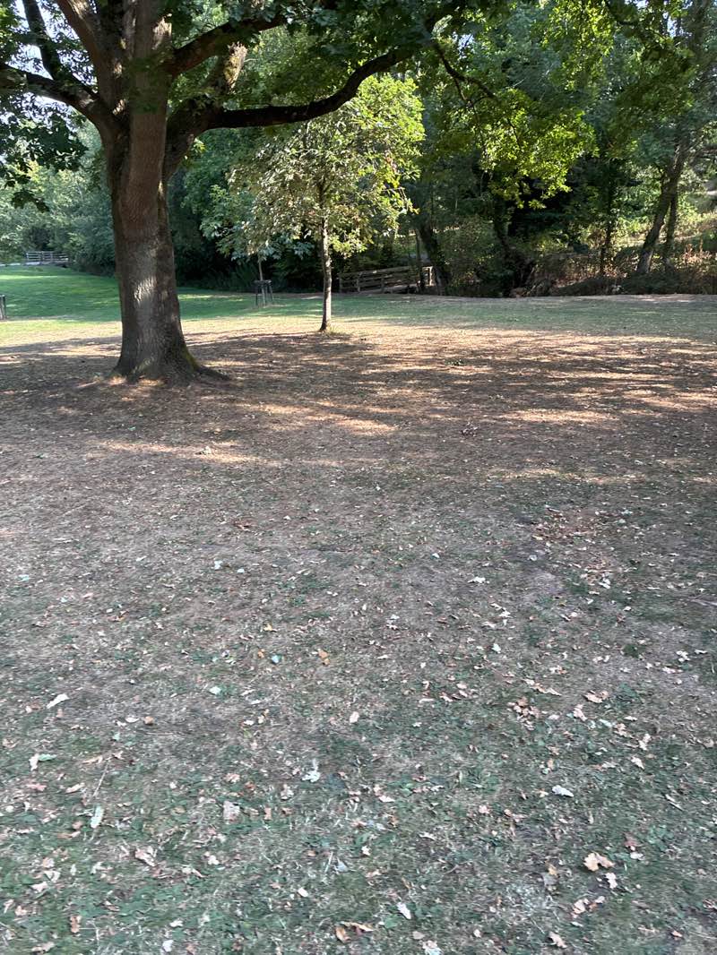 walking near me in Droitwich Lido Park & St Peter's Fields in autumn