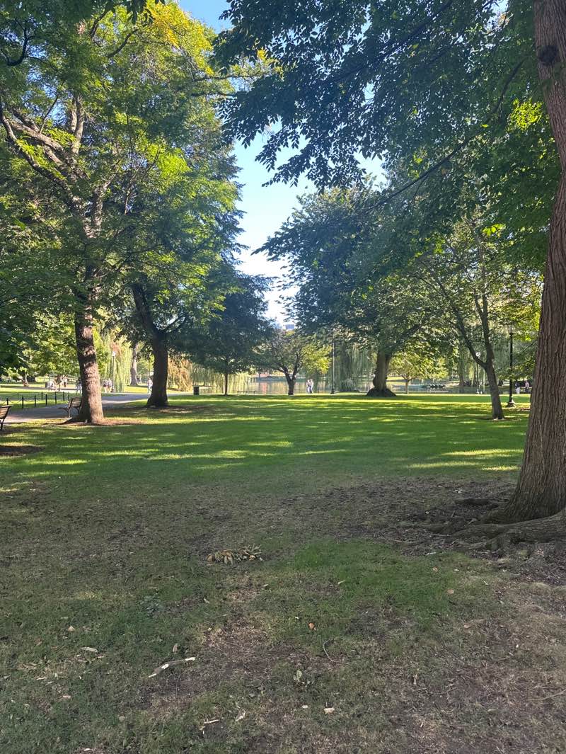 walking near me in Boston Public Garden in autumn