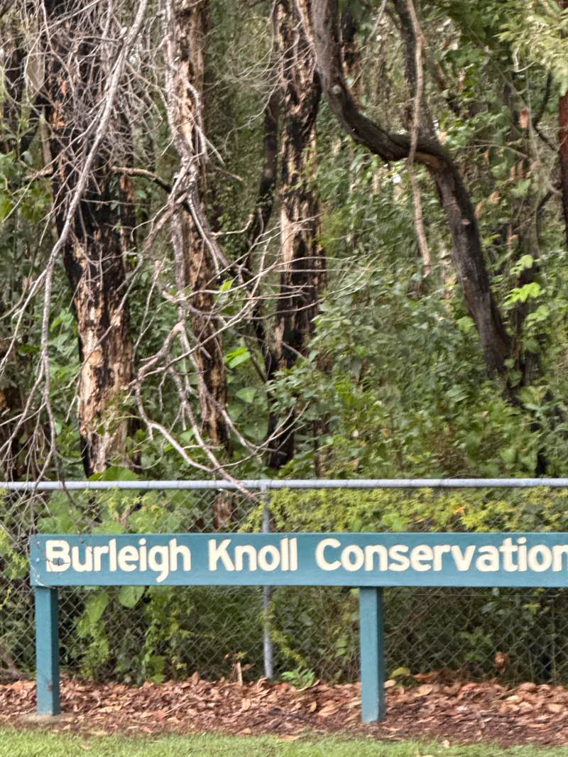 walking near me in Burleigh Knoll Conservation Park in autumn