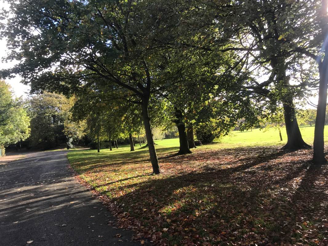 walking near me in Birkenhead Park in winter