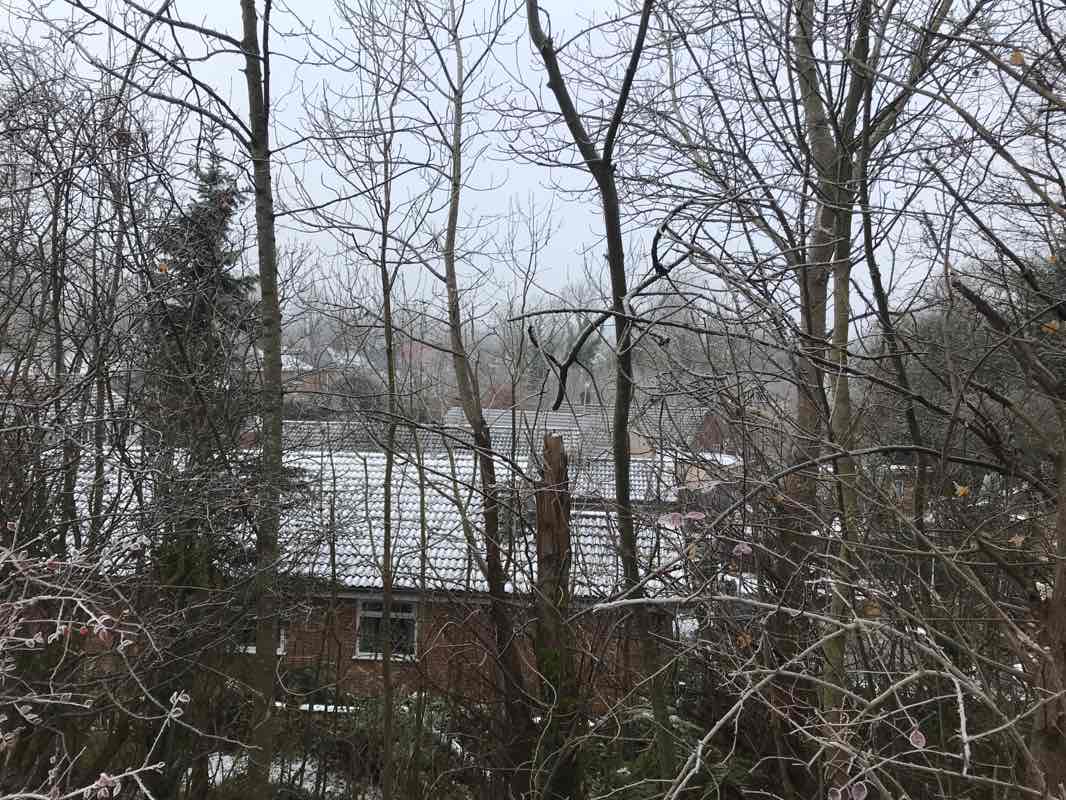 walking near me in The Breck in winter