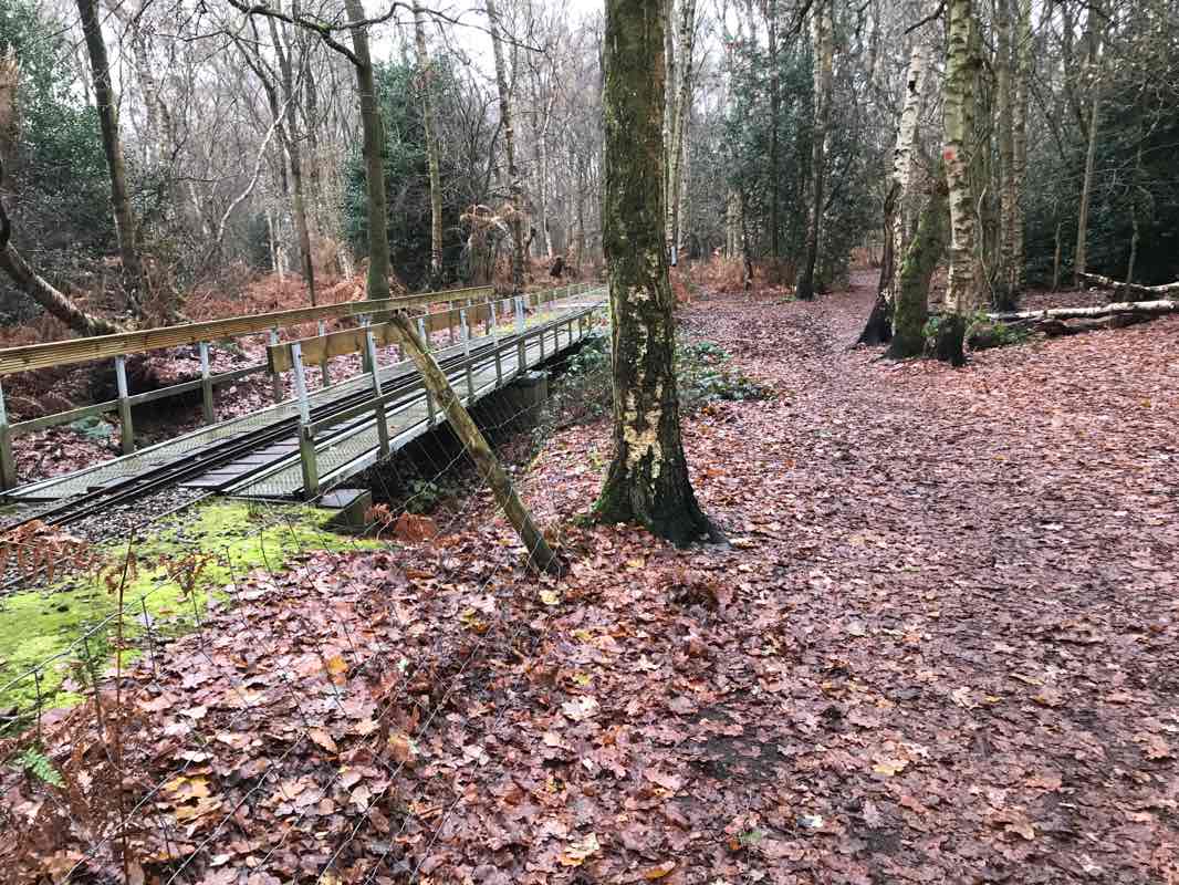 walking near me in Brookhurst in winter