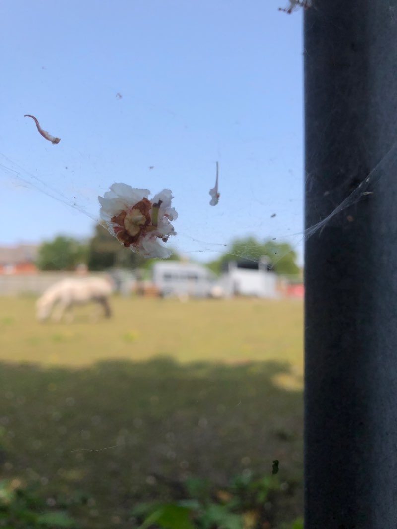 walking near me in Victoria Park in winter