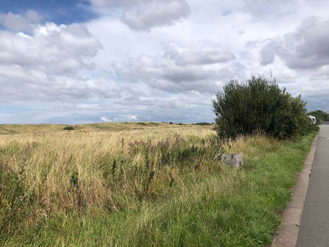 walking near me in Arrowe Park in winter