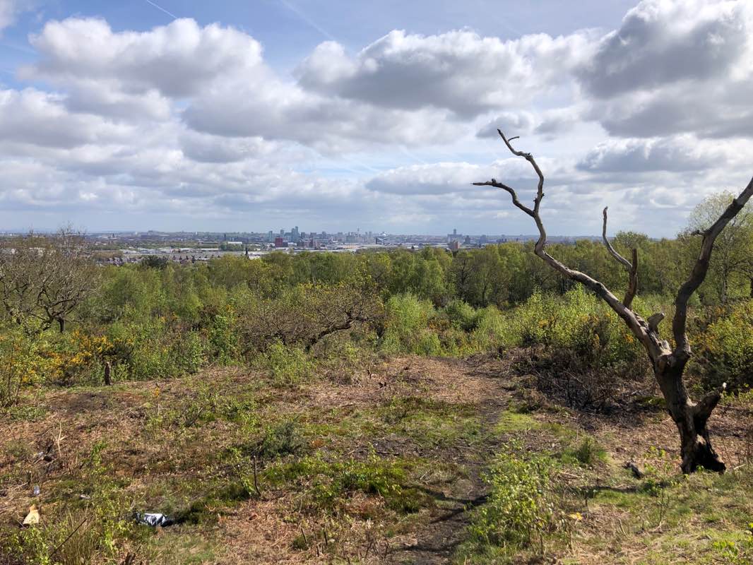 walking near me in King Street Roman Fort in winter