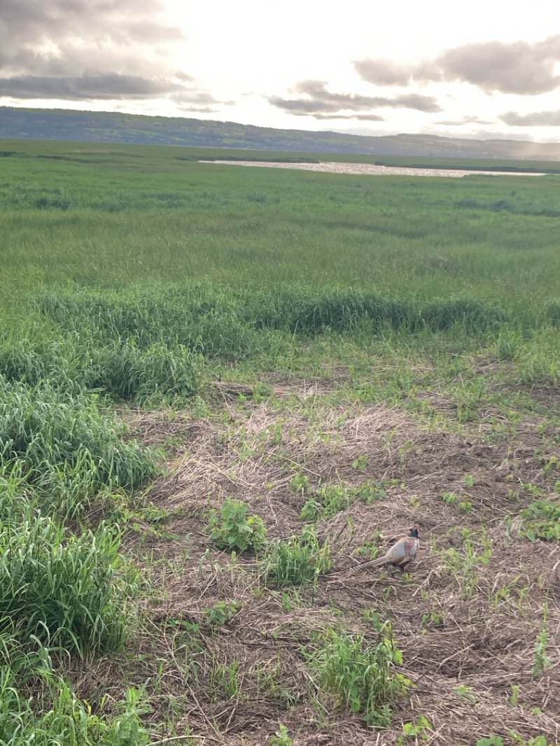 walking near me in Wirral Country Park in winter