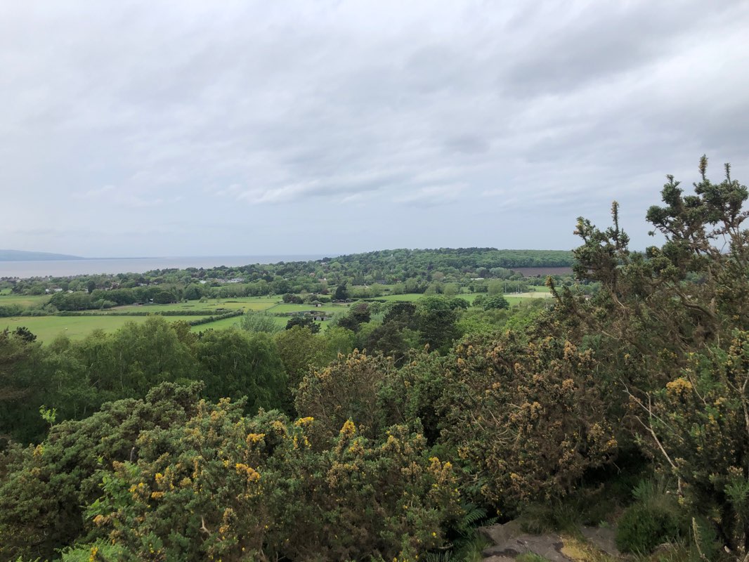 walking near me in Chavasse Park in winter