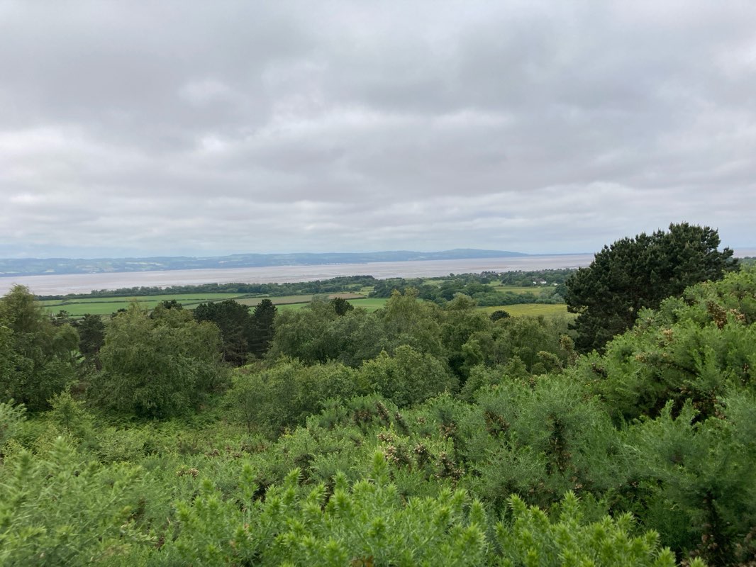 walking near me in Royden Park in winter