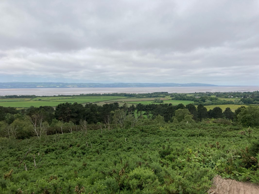 walking near me in Ashton Park in winter
