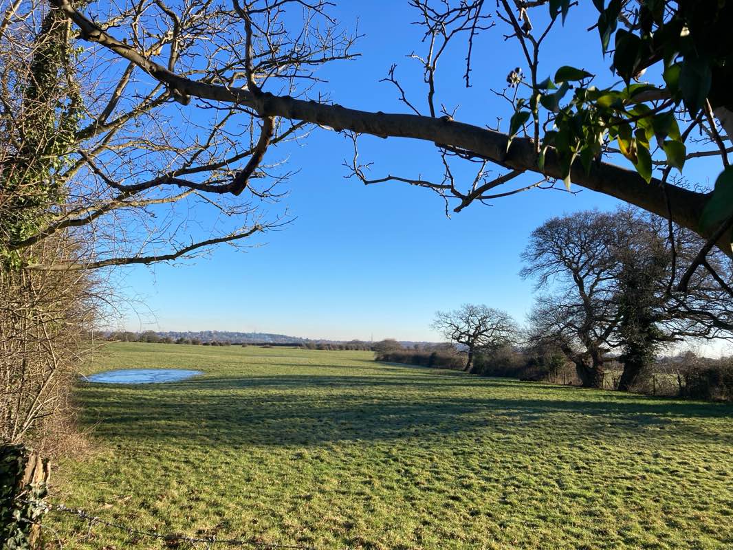 walking near me in Upton Park in winter