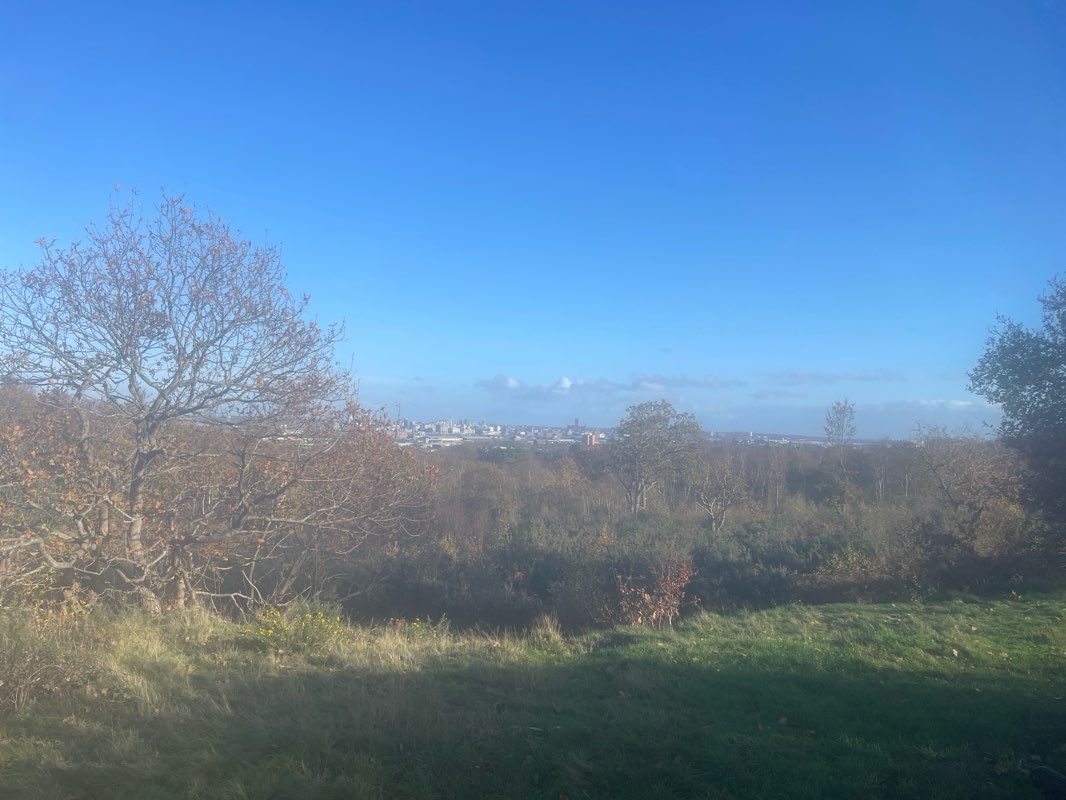 walking near me in Upton Park in autumn