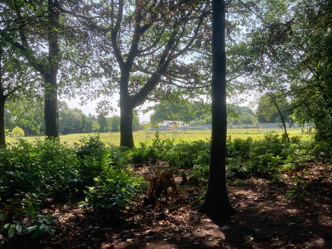 walking near me in Upton Park in summer