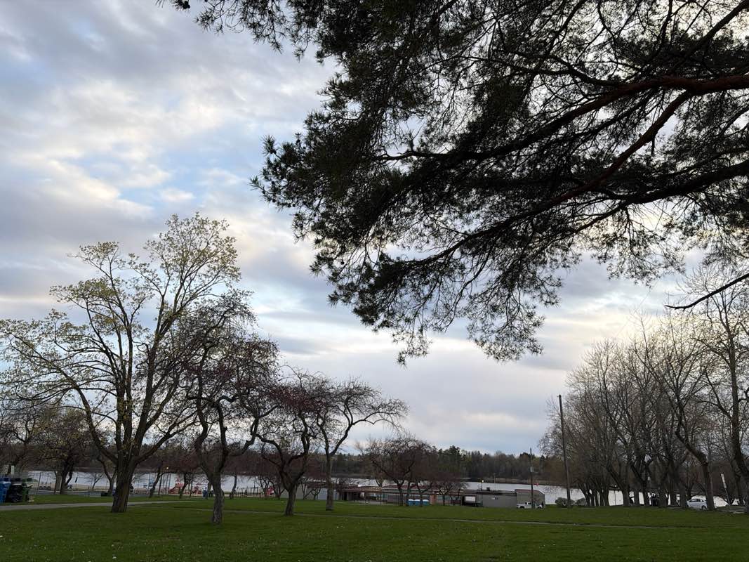 walking near me in Mooney's Bay Park in spring