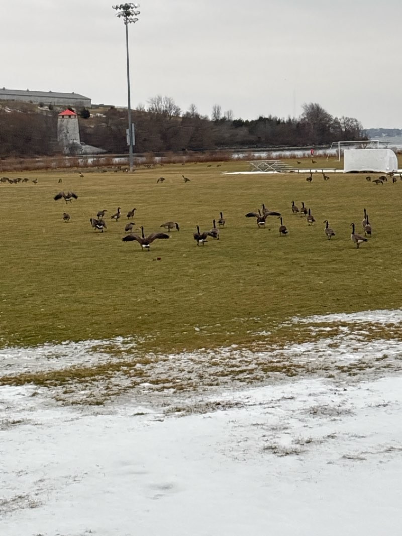 walking near me in Confederation Park in winter