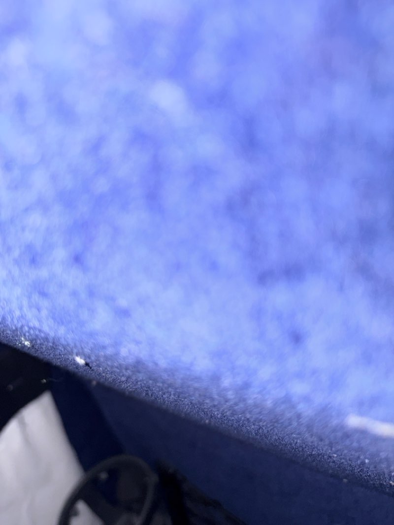 walking near me in Bramshot Park in winter