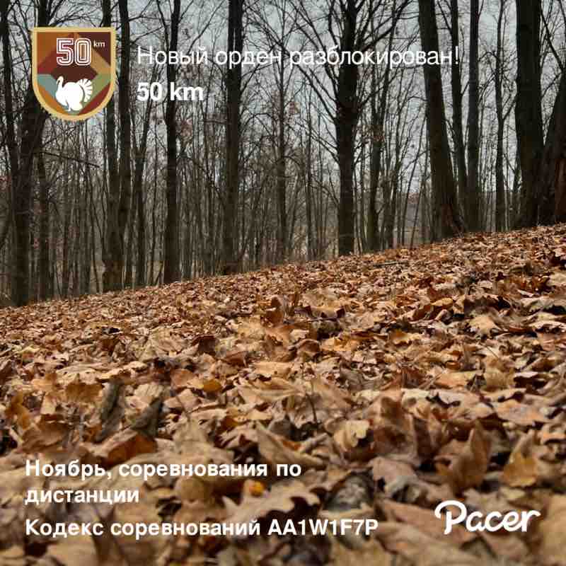 Max_Prykhodko 🇺🇦🤙🏻 post 1