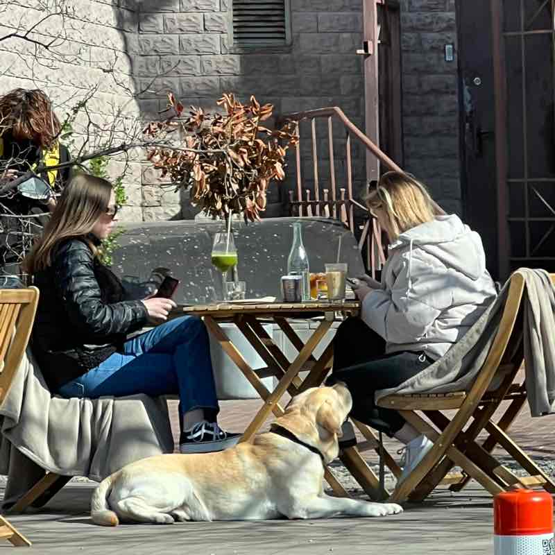 Max_Prykhodko 🇺🇦🤙🏻 post 3