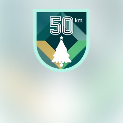 December Steps Challenge Vladimir_KZ🇰🇿🇷🇺 post image