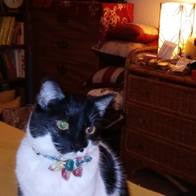 ✨Fancy💃🏾Ann✨ post 3