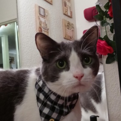 ✨Fancy💃🏾Ann✨ post 1