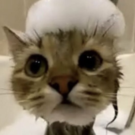 Таня Оробий