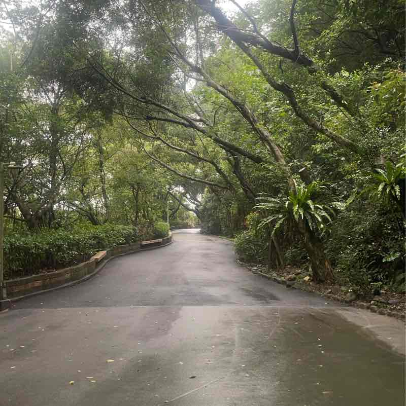 我是新北人 那那 post image