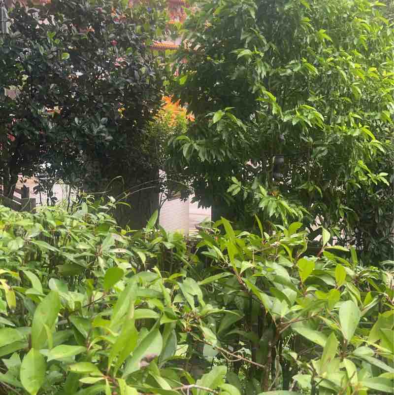 我是新北人 那那 post image