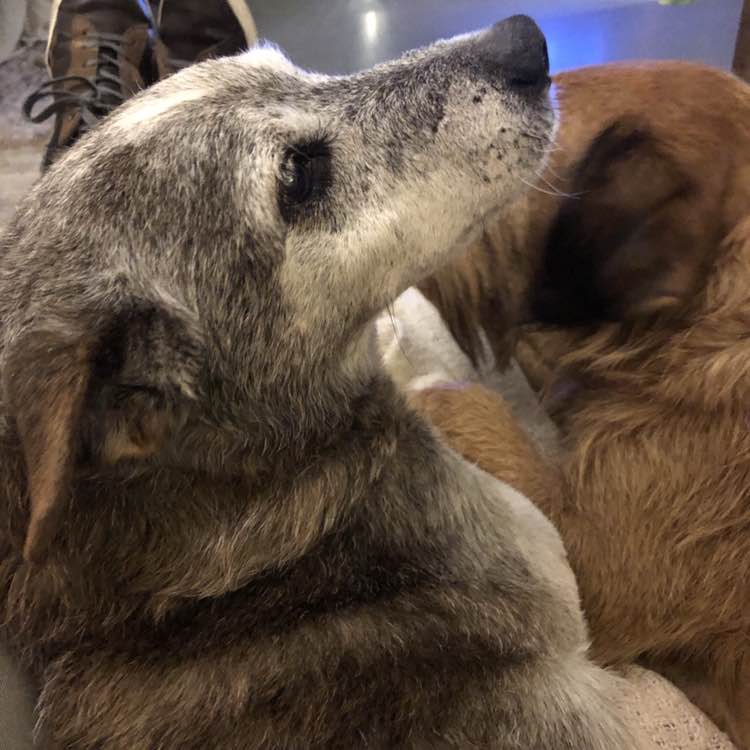 Ben & Sisko post 2