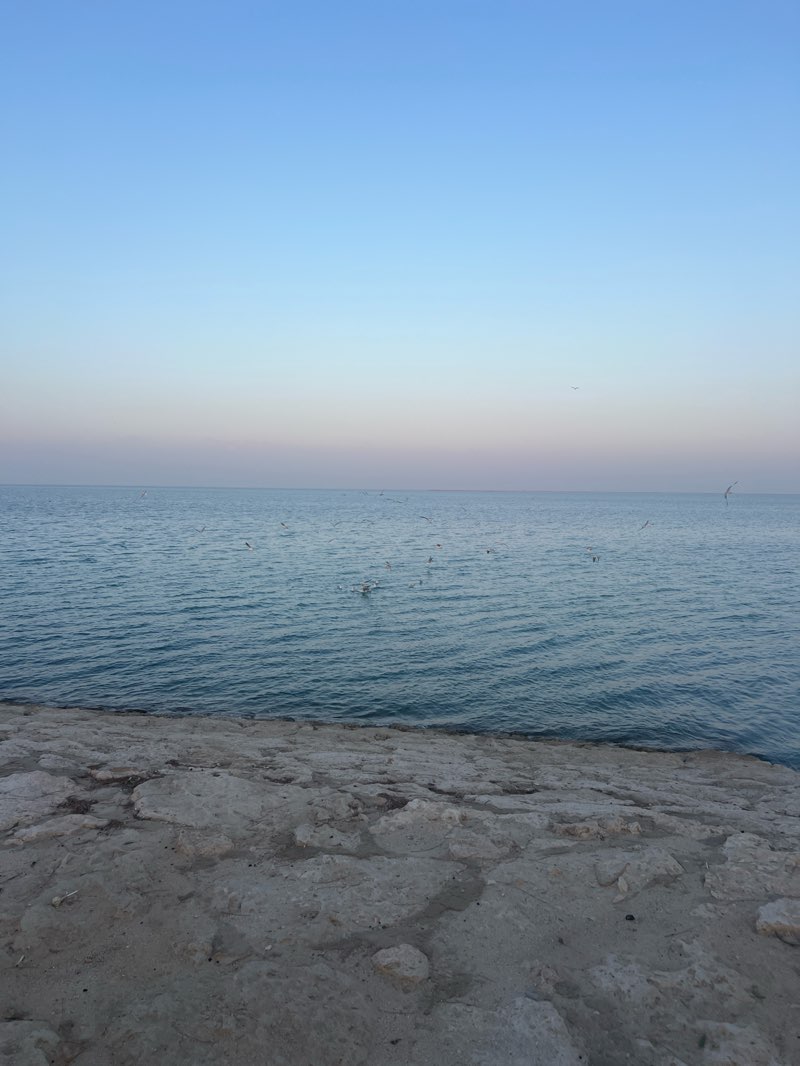 walking near me in Al-Fanateer Sea Front in winter