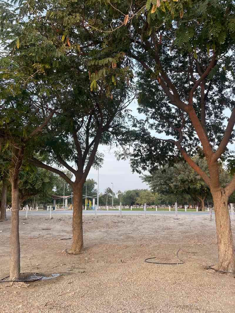 walking near me in Al-Andalus Park in winter