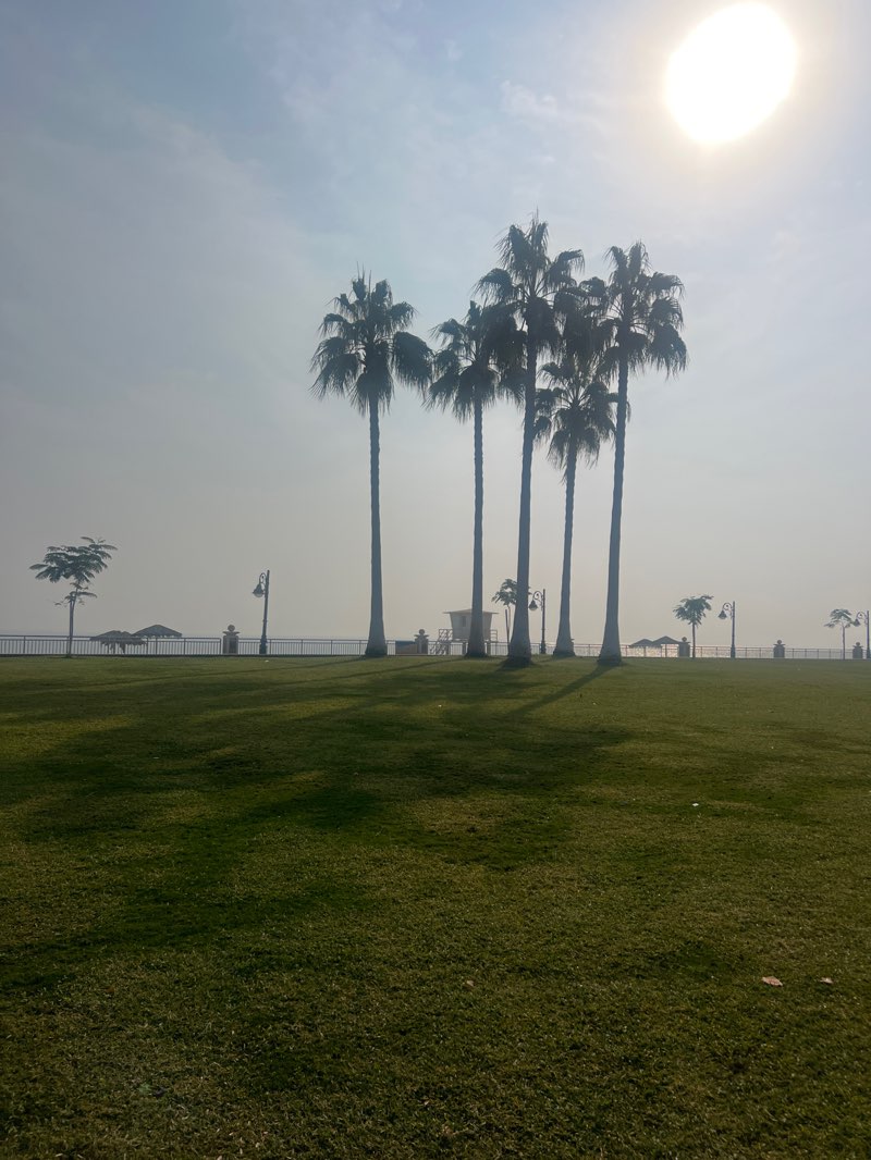 walking near me in Alfanateer Corniche in winter