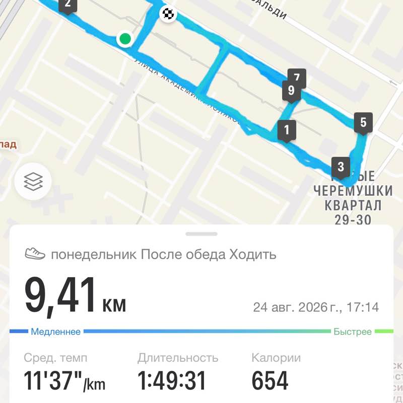 Ходунки (Москва) «МихалычЪ» post image