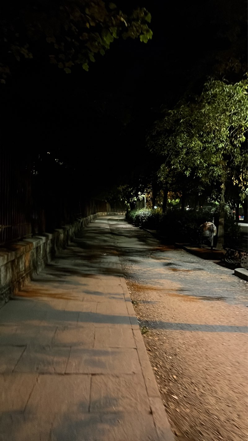 walking near me in Parco Sandro Pertini in winter