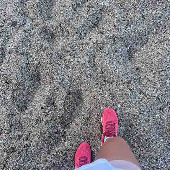 Орден Мария post image