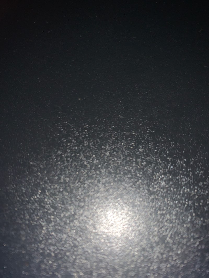 walking near me in Arboretum in spring