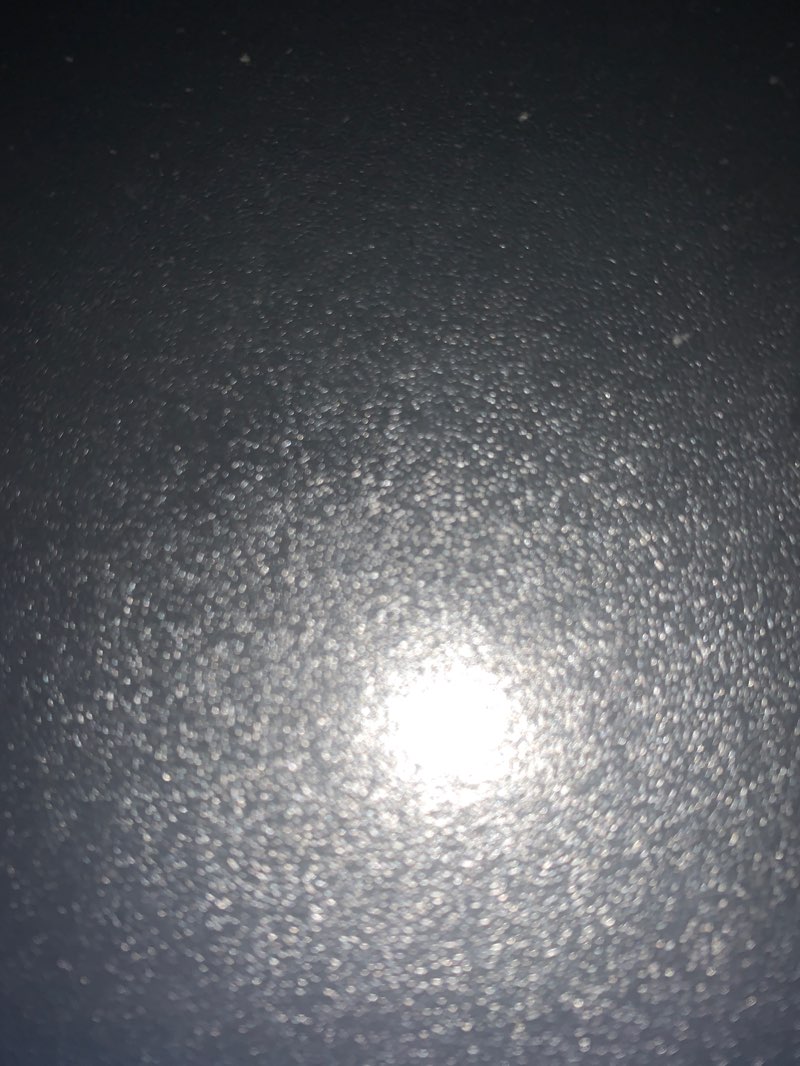 walking near me in Wambyn Nature Reserve in spring