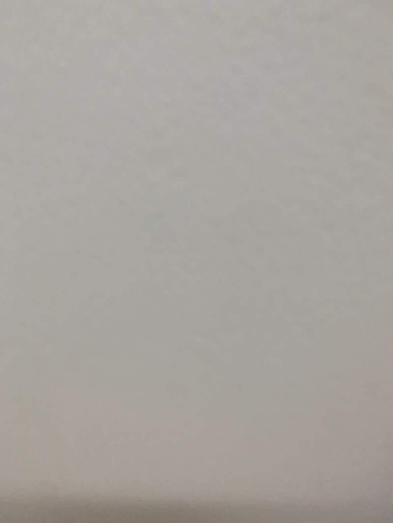 walking near me in Melsonby (Gaarraay) National Park (Cape York Peninsula Aboriginal Land) in spring