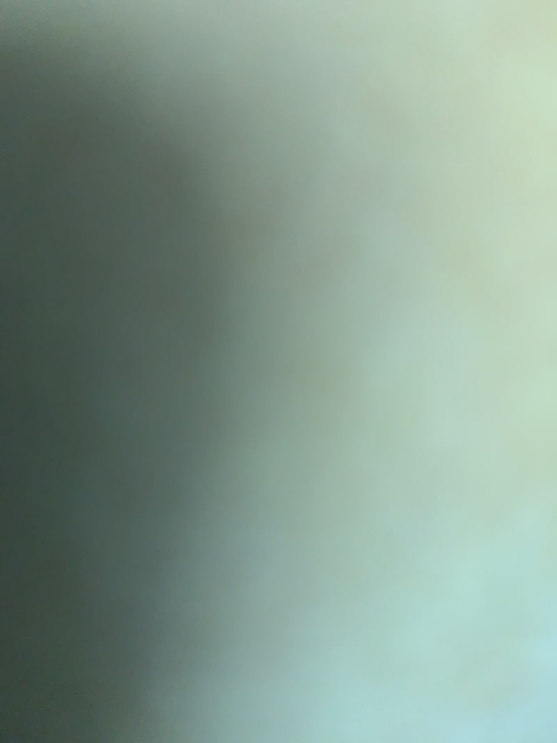 walking near me in Bridal Veil Falls Nature Reserve in spring