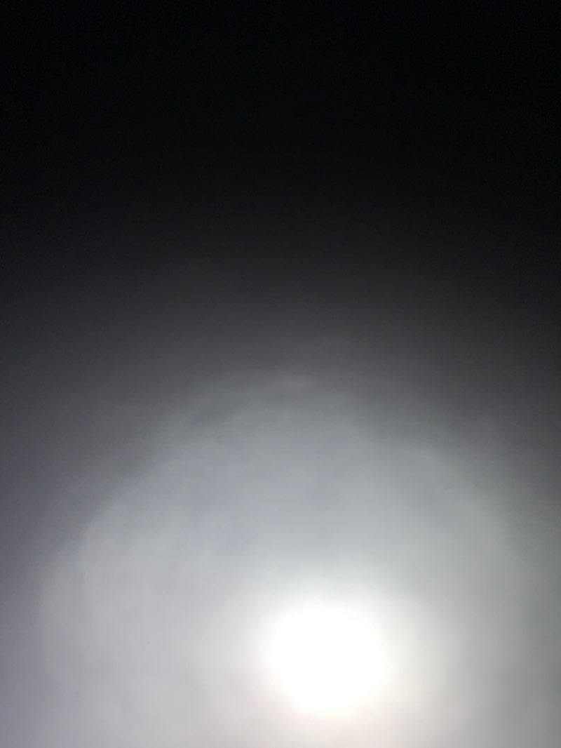 walking near me in Coorabakh National Park in spring