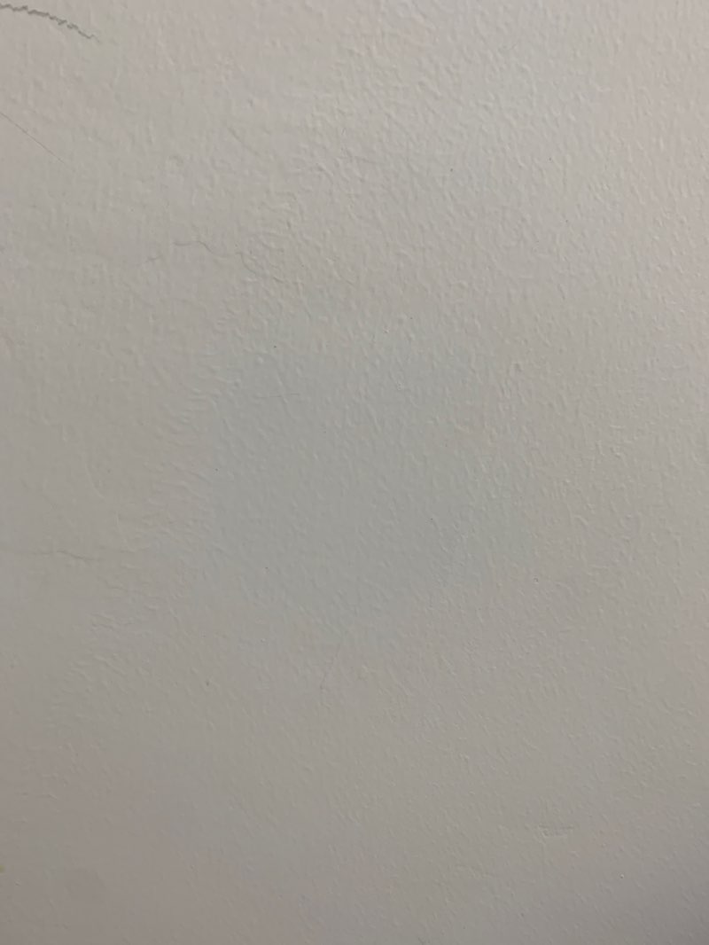 walking near me in Millstream Chichester National Park in spring