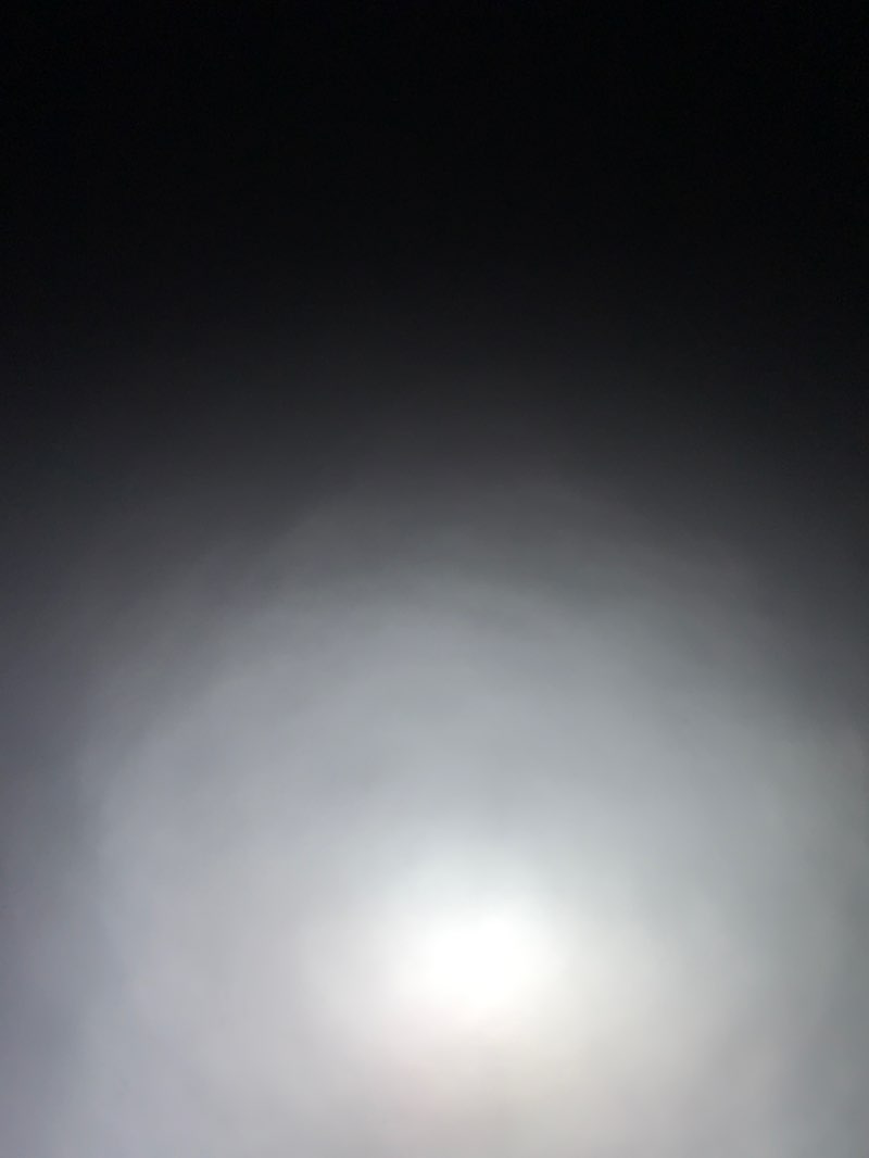 walking near me in Goonook Nature Reserve in summer