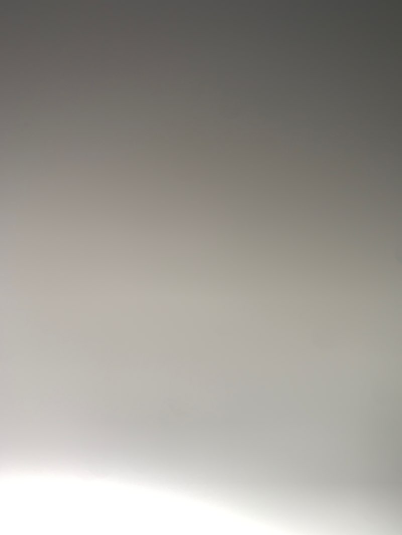 walking near me in Ravenswood Park in summer