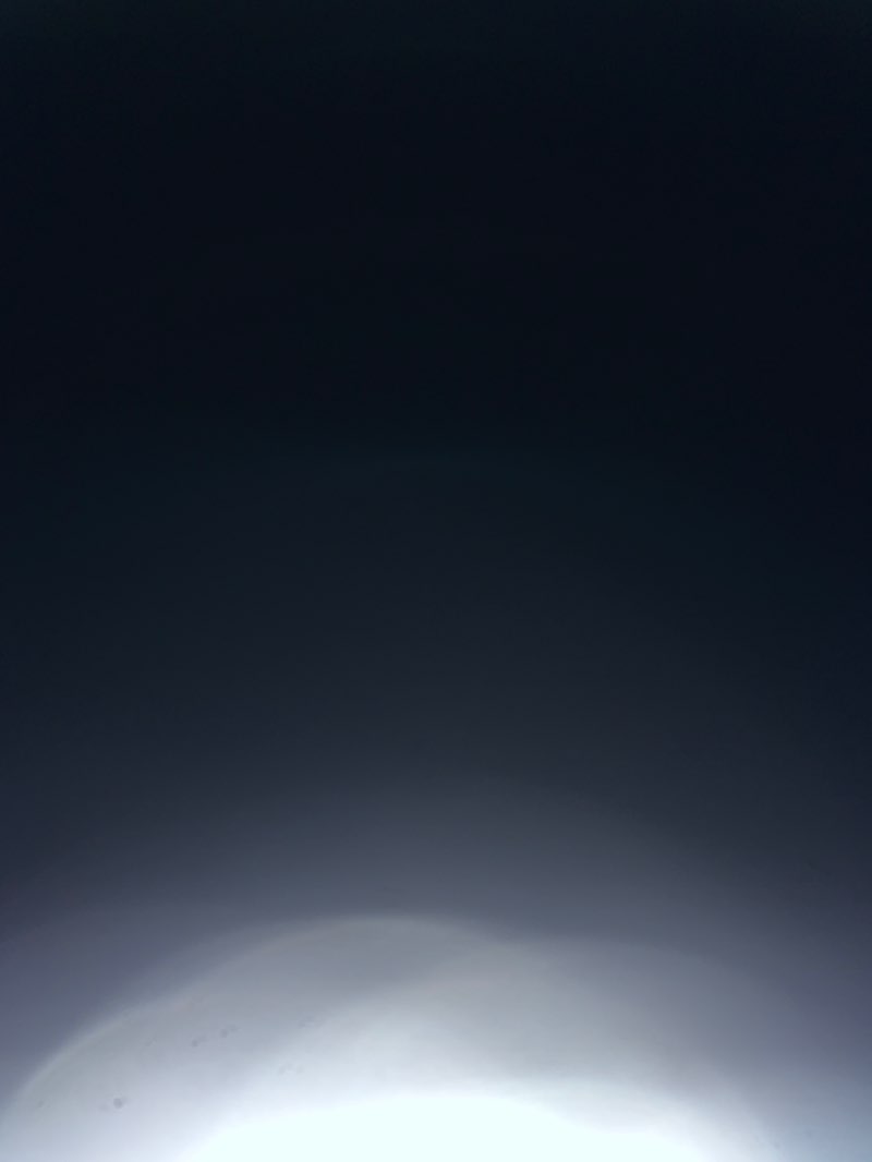 walking near me in Yarrobil National Park in summer