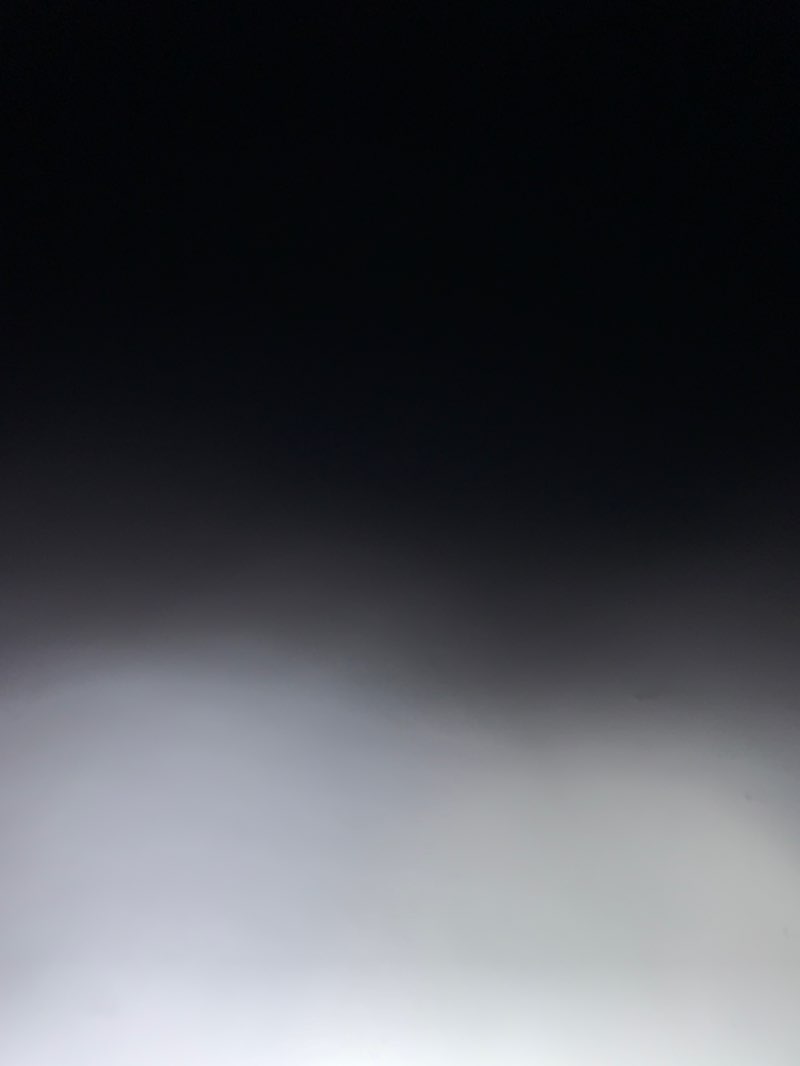 walking near me in Red Hill Reserve in summer