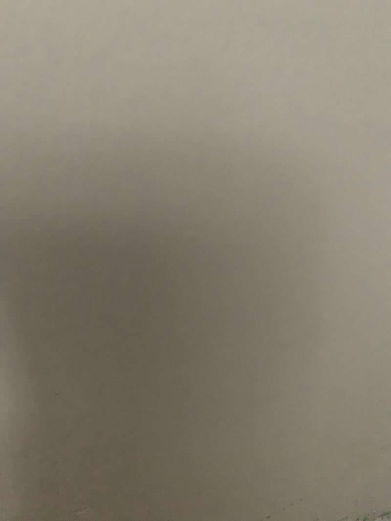 walking near me in Wild Horse Swamp Nature Reserve in spring